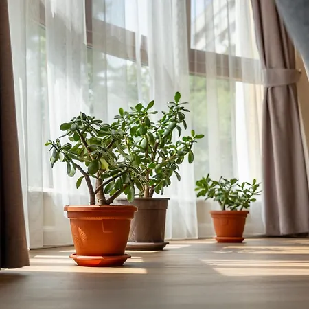 Daya 2br Luxury Apartmán